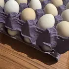 بيض فيومي المنيوم