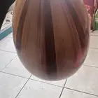 عود مصري تعليمي نضيف