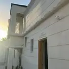 بديل الحجر ليأسه ملونه