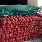 بصل طيب ونظيف خمسة كيلو على خمسة ريال