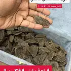 تصفية على عود كلمنتان فاخر