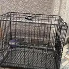 شبك طيور او حيوانات