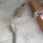 كت وكاله مفرغ