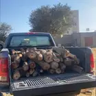 حطب طلح كفو كفو