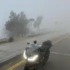 دباب