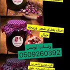 شي فاخر من الاخر تحداك ماترجع وتشتري