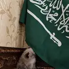 هجين سكوتش وهملايا