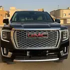 دينالي 2023