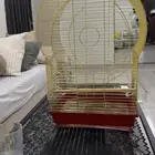 أقفاص للبيع