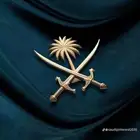 مطلوب ارض سكنية في نمار 3020 مساحتها فوق 500
