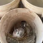 حمام فرنسي منتج رقم 1