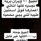 وبران