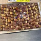 صقعي ملكي