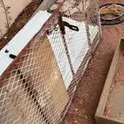 شبك بابين بقلاوه وشينكو