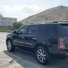 جمس دينالي 2008