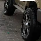 فراشة هانكوك