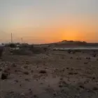 مزرعه بصك زراعي 55700م للبيع بالواصليه