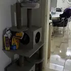 بيت للقطط