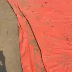 ديك بلدي
