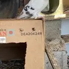 حمام تركي للبيع