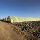 5 بيوت محميه