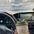 مق اليوم الوطني 95 موسى اند بالم