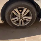جنوط مجدوعي سوناتا