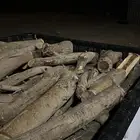 مسحه صندوق غماره