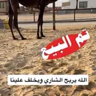 تم البيع