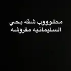 مطلوب شقه استديو مفروشه في السليمانيه القدس الريان