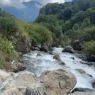 مطلوب شاليه للايجار