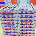 يوجد فطر طازج مشروم للبيع Mushroom