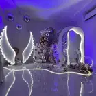 تنسيق و تجهيز حفلات مواليد تخرج ميلاد