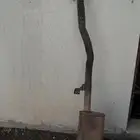 كنداسه شاص ربع