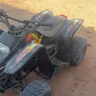 دباب سويدي