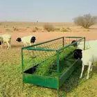 ذبايح برابر جذعان مغلقه