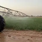 مشروع زراعي للاجار ببسيطا