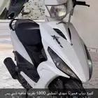 دباب