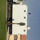 نقل خيل وادي دواسر