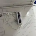 ستاره كهربائيه في بيشه بريموت