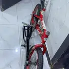 سيكل كوبرا هيكل رامبو