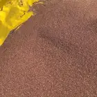 سمسم بلدي جديد من إنتاج مزرعتي
