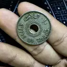 قرش فلسطين عمره فوق 80 سنه
