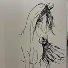 رسم على جداري او لسطبلات او غرف خيل