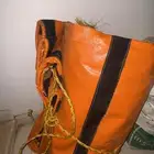 عندي شراع اللبيع دينا