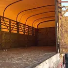 تيدر اعلاف مصنع العتيبي جوانب المطلق بلاده