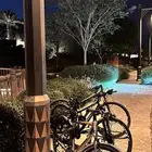 دراجات هوائية تأجير ف الدرعية