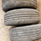 كفرات التنرا 2024
