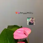 نباتات