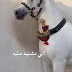 فرس شعبيه كفو